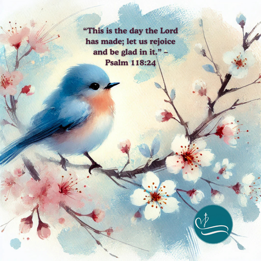 Lessons from the Birds: Finding Beauty and Meaning in the Everyday