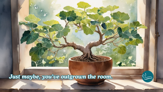 Podcast Episode 6: Closed Doors & Clear Paths | Show Notes